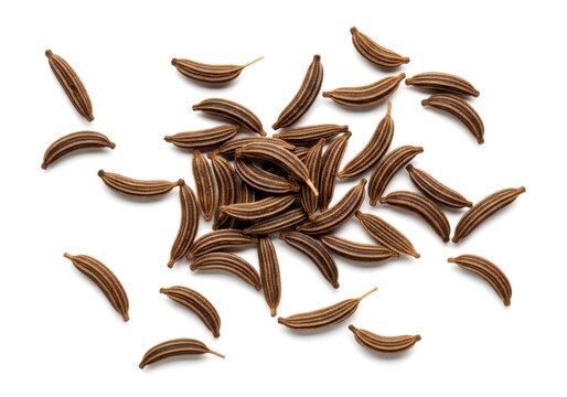 Close up of aromatic caraway seeds for bread baking and spice isolated on white background