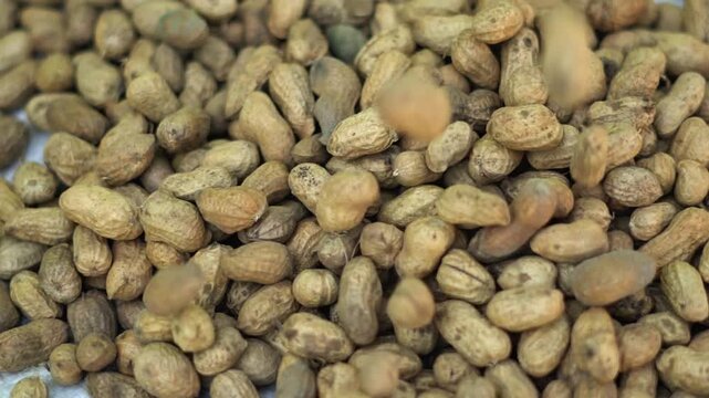 Organic Groundnuts Harvest Texture for Agricultural Concept. Raw Peanuts in Shells Background for Healthy Snack Industry. Dry Raw Peanuts for Food Production and Market Concept.