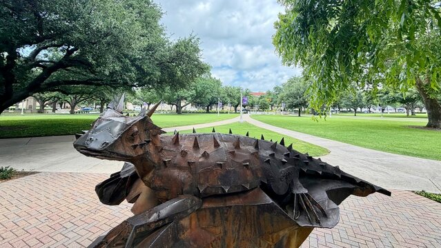 Texas Christian University, located in the vibrant city of Fort Worth, Texas, is better known as TCU. With its rich traditions and dynamic campus life, TCU offers a unique blend of academic excellence