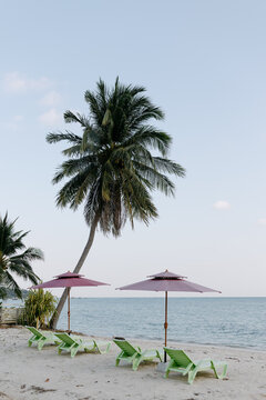 Tropical Thailand beach with palm, umbrellas and lounge chair