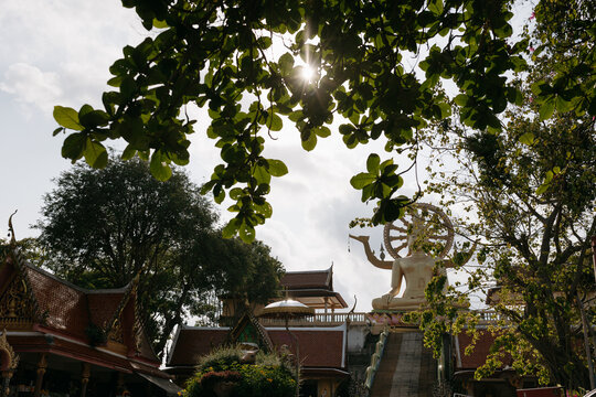 Tropical Thailand temple architecture framed by sunlit trees