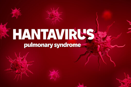Hantavirus pulmonary syndrome text with floating virus particles on red medical background. Concept of dangerous infectious disease and viral outbreak.