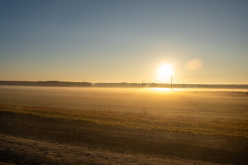 Fototapeta premium Sunrise illuminates a misty field with power lines and trees in the distance, showcasing a tranquil rural landscape during early morning hours