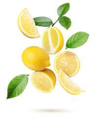 Obraz premium Juicy lemons and green leaves falling on transparent background. Citrus fruit