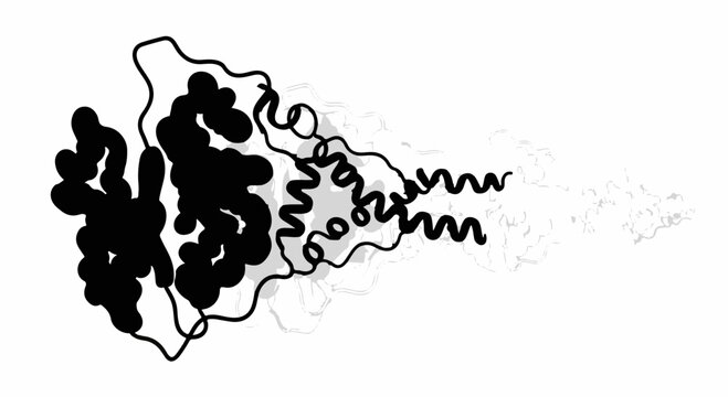 Abstract representation of protein structure with alpha helices and disordered regions