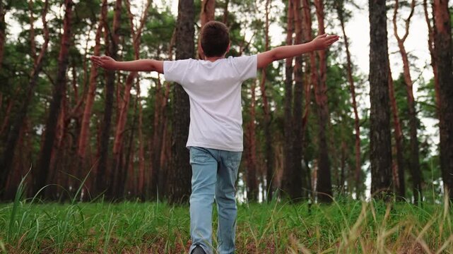 Little boy plays in forest with arms raised, child walks forest clearing. Kid prays with hands raised in park. Happy child walks among pine trees. Childhood dreams nature. Boy addresses God outdoors
