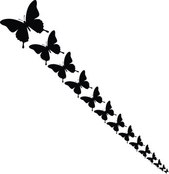 Butterfly silhouette trail illustration featuring flying insects in descending pattern isolated on light background design