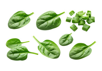 Fototapeta premium Fresh spinach leaves and small diced spinach cubes arranged on a transparent background in an isolated flat lay