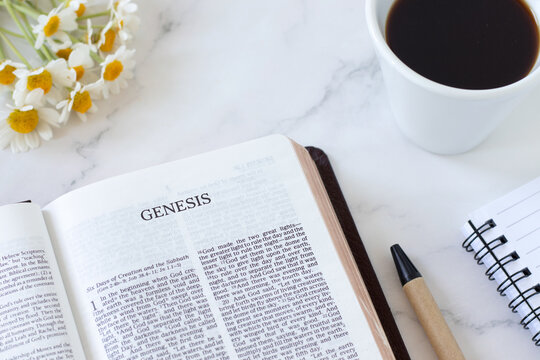 Genesis holy bible book with cup of coffee and flowers on white marble background. Christian study, biblical concept.