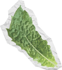 Scrapbook applique mint leaf © Olena