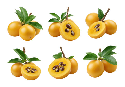 Seven whole and halved canistel (egg fruit) with glossy yellow-orange skin, green leaves and visible brown seeds arranged on a transparent background