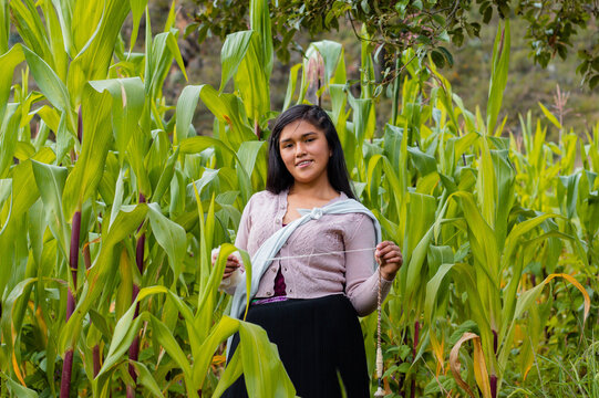 Campesina atractiva con hilada en la mano y ropa tradicional.Costumbres ancestrales del campo peruano. Tradici&oacute;n, cultura y vida rural andina.Quechua .