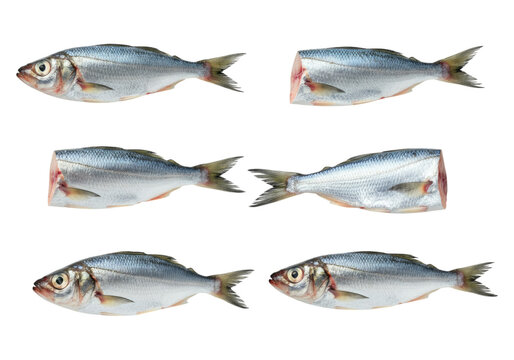 Six raw silver herring-style fish arranged on a transparent background, some whole and some gutted, showing scales, tails and heads