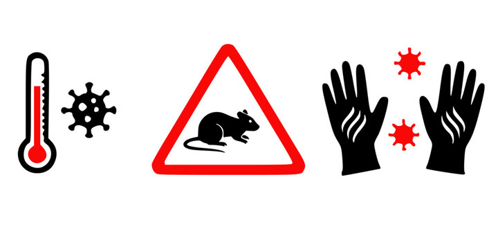 vector of a mouse contaminated with hantavirus