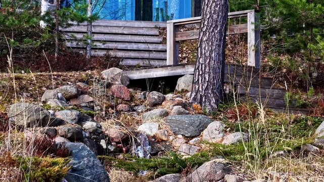 Pan down shot of a landscaped cabin exterior with a roof-fed cascade, rock stream, wooden deck, and tranquil backyard water feature.