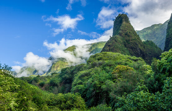 The lush forests of Iao Valley in Maui Hawaii
