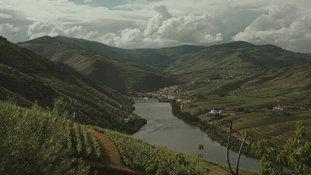Bridge over Douro River winds through terraced vineyards and rolling hills in Pinhao