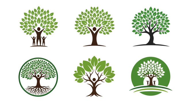 Tree logo icons, green tree symbols, eco friendly emblems, nature vector graphics, 6 tree illustrations