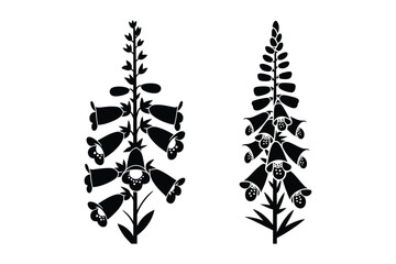 Two black silhouette foxglove flowers vector illustration with foxglove © Sadek