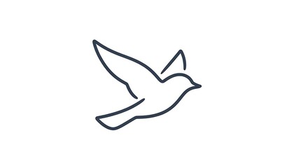 Obraz premium Line drawing of a bird in flight on a white background 