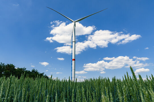 Wind turbine above young green wheat field near Kramatorsk, Ukraine, renewable energy and sustainable agriculture