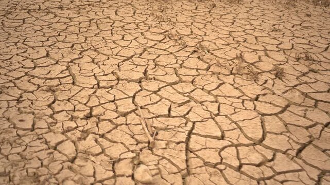 Low-angle tracking shot gliding over severely cracked, parched earth. High-impact dynamic B-roll highlighting severe drought, climate change, and water scarcity for documentaries and news broadcasts.