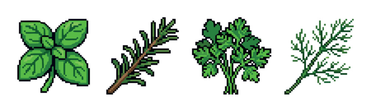 Basil, rosemary, parsley, and dill herbs pixel art icons set, featuring common culinary ingredients in a retro 8-bit video game style