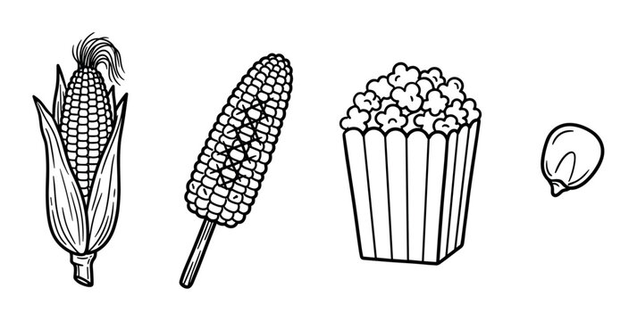 Corn cob with husk, corn on the cob, popcorn in a box, and a single corn kernel line art illustration set