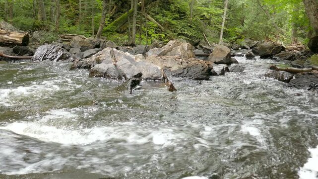 Downstream from Iroquois Falls on a small river with rapids and a waterfalls along Sentier Iroquois, a hiking trail near Lac Simon in Duhamel, Quebec, Canada.
