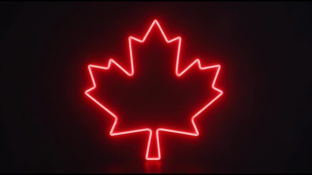 Glowing red maple leaf neon sign on dark background