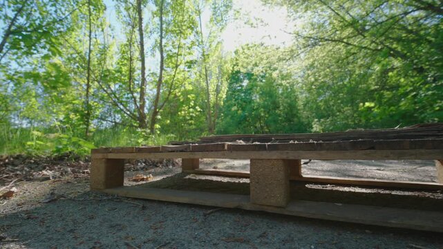 Abandoned Wooden Pallet on Asphalt in Overgrown Area, Wide-Angle Low Angle View | Logistics Crisis, Waste and Urban Decay