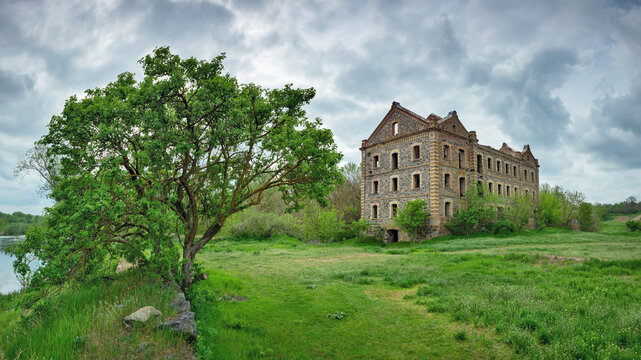 panoramic view to meadow with tree and and abandoned old palace in cloudy day