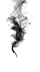Fototapeta premium Smoke rising in the air.
