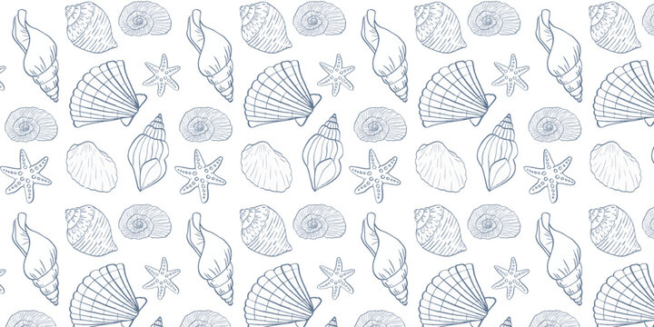 vector seamless pattern with hand drawn star fish and seashells on white background