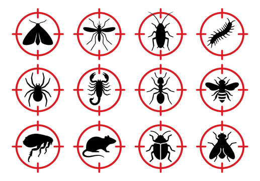 Silhouette icon set of 12 pest control targets featuring moth, mosquito, cockroach, centipede, spider, scorpion, ant, bee, flea, rat, beetle and fly for exterminator design