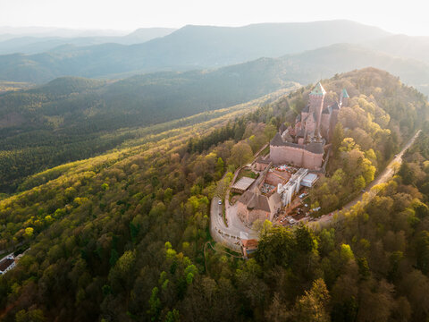 Castle Haut-Koenigsbourg, Alsace, France - April 10, 2026 - Aerial viewpoint showing winding trail approaching medieval chateau on wooded ridge, fresh spring foliage and layered hills, evocative scene