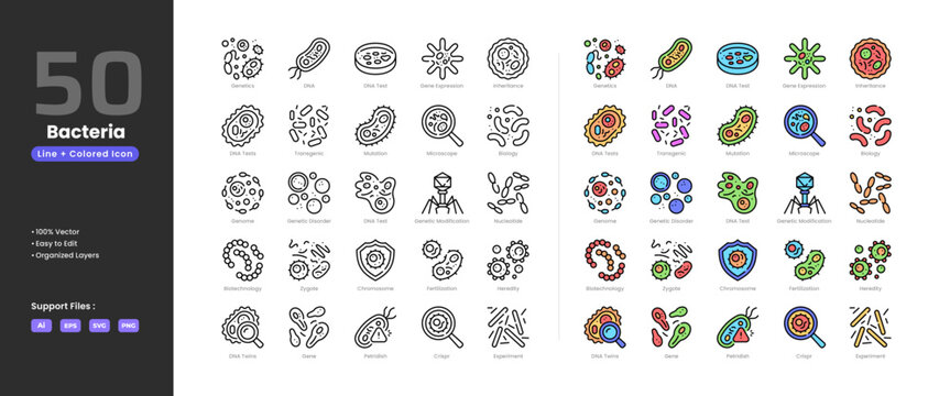 Bacteria icon set collection - colored outline line art style. Containing bacillus bacteria cluster protection diagnosis bacteriophage Clostridium Tetani Escherichia Coli Examination Filamentous