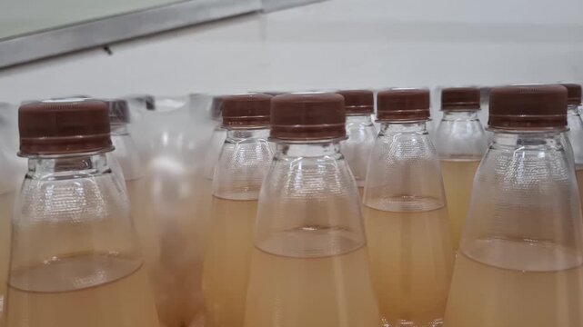 Close-up view of clear plastic bottles filled with fresh healthy beverage. The bottles are sealed with brown plastic screw caps and arranged in dense rows on a factory line or a store shelf