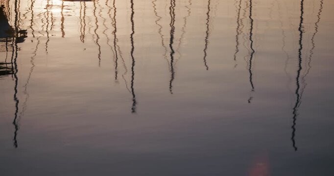 Reflections of sailboat masts on calm water surface in a marina during low sunlight.