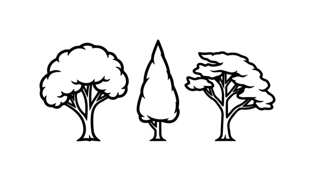 Balanced Composition of Three Varied Tree Illustrations