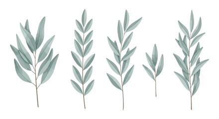 Fototapeta premium Eucalyptus leaves, green foliage, botanical illustrations, watercolor plants, leafy branches
