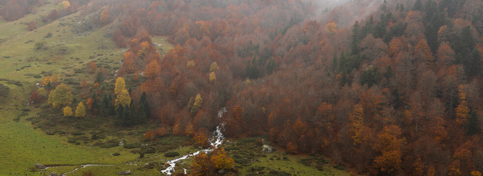 small river on the mountains during autumn