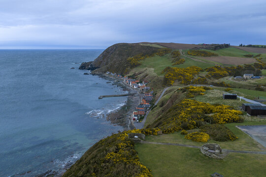 Aerial view of the historic village of Crovie nestled at the base of steep cliffs with yellow gorse bushes and the rocky coastline Crovie, Scotland, United Kingdom.