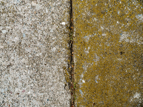 In the Neighborhood 
