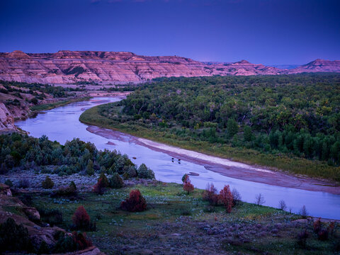 Moose in Theodore Roosevelt National Park