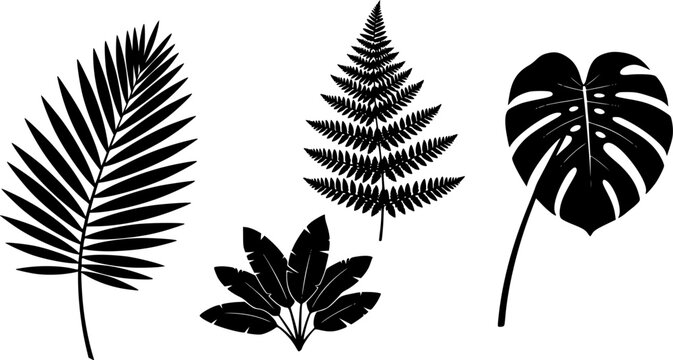 Herbal illustrations in black and white silhouette style featuring basil rosemary parsley and thyme botanical elements
