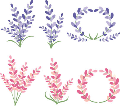 Lavender Flower Elements Collection