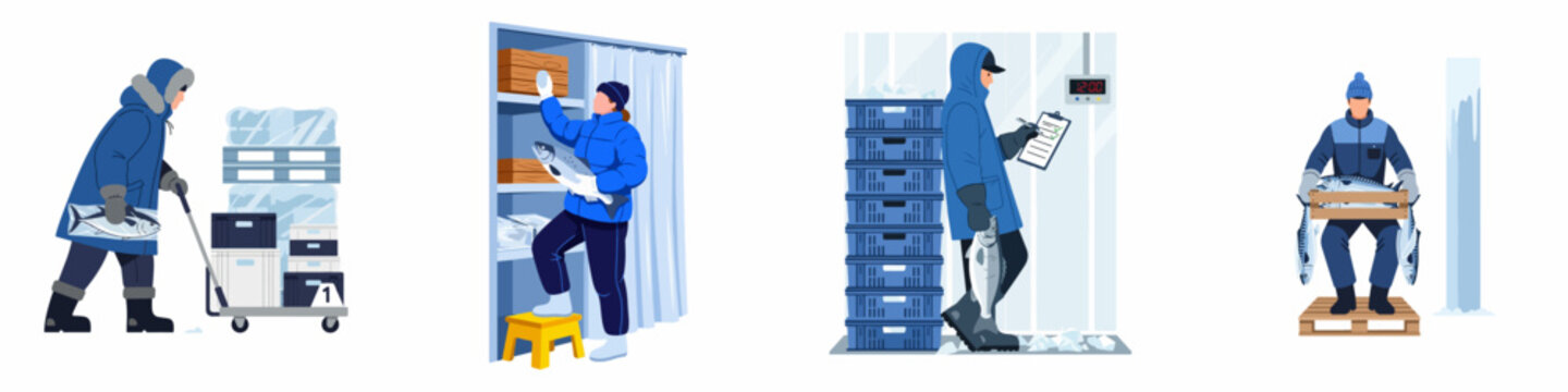 Flat vector illustrations of industrial cold storage workers handling frozen fish and seafood in a refrigerated warehouse environment.