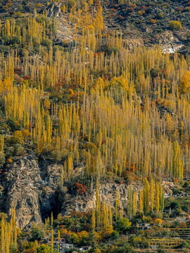 Autumn Views of Karimabad, Hunza, Pakistan