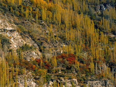 Autumn Views of Karimabad, Hunza, Pakistan